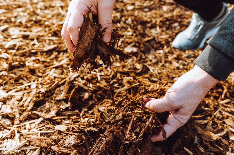 Brown Mulch Installation in Honolulu, HI